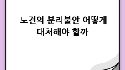 🐶 댕댕이 분리불안 극복🐾: 꿀팁 대방출 & 완벽 예방법! 🏡